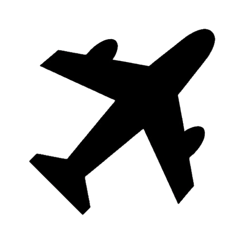 Airline
Loyalty Strategy